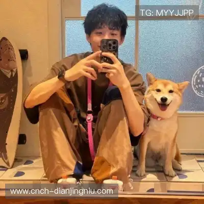 姬镇裙